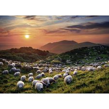 AVH Edition: Sheep and Volcanoes