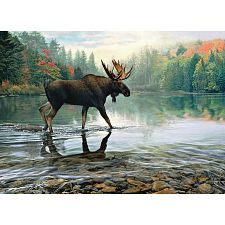 Moose Crossing