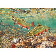 Brook Trout