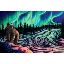 Sky Dance - Northern Light (Canadian Art Prints 772665433423) photo
