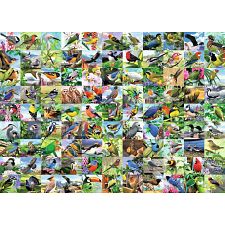 99 Delightful Birds - Large Piece Format