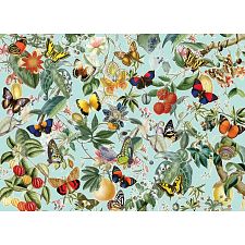 Fruit and Flutterbies