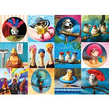 Funny Birds (Eurographics 628136657716) photo