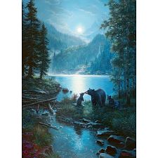 Bear Night
