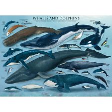 Whales & Dolphins (Eurographics 628136600828) photo