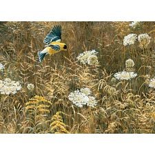 Queen Anne's Lace And American Goldfinch - Large Piece
