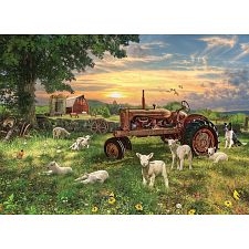Field At Sunrise