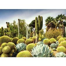 The Huntington Desert Garden, California, USA (Ravensburger 4005555008507) photo