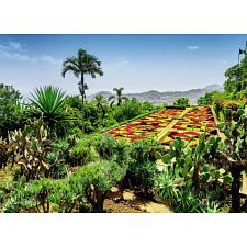 Beautiful Gardens: Botanical Garden, Madeira