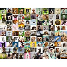 99 Loveable Dogs - Large Piece Format (Ravensburger 4005556169399) photo