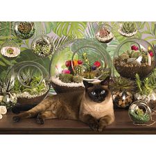 Terrarium Cat