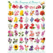 The Language of Flowers (Eurographics 628136605793) photo