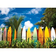 Surfer's Paradise - Hawaii, USA (Eurographics 628136605502) photo