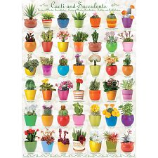Cacti and Succulents