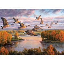 Migration