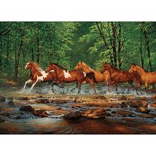 Spring Creek Run