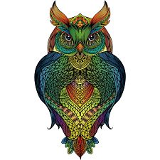Rainbow Wooden Puzzle - Owl