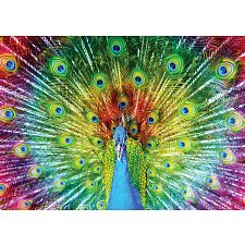 Colorful Peacock (5949194012510) photo
