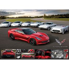 2014 Corvette Stingray - It Runs in the Family