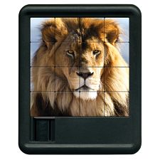 Animal Kingdom Sliding Piece Puzzle - Lion