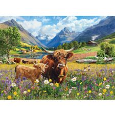 Highland Cows