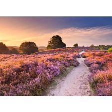 Beautiful Walkways: Pink Pathway (Ravensburger 4005555017639) photo