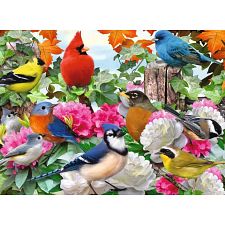 Garden Birds (Ravensburger 4005555001478) photo