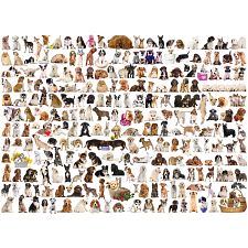 The World Of Dogs