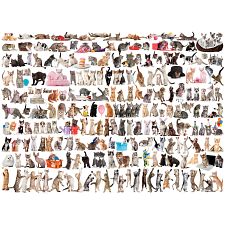 The World Of Cats