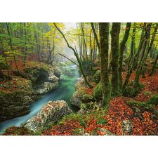 Magic Forests: Little Brook