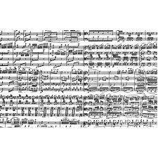 Musical Notes (Piatnik 9001890543449) photo