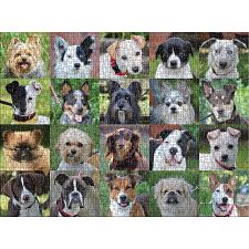 Rescue Dogs - 1000 Piece Jigsaw Puzzle