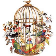 Bouquet of Birds - 750 Piece Shaped Puzzle (Galison 9780735364806) photo