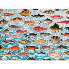 Judgy Fish (Brass Monkey 9780735377202) photo