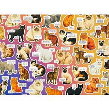 Moody Cats (Brass Monkey 9780735387010) photo