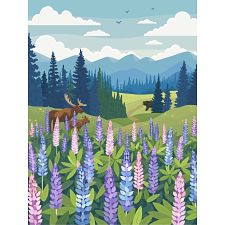 Lupines Meadow (990312321965) photo