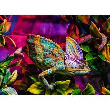 Colourful Animals - Chameleon (Ravensburger 4005555013334) photo