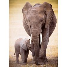 Elephant & Baby - 1000 Piece Jigsaw Puzzle