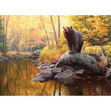 Black Bear Pond (Cobble Hill 625012403429) photo