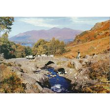 Thirsty Work - 1000 Piece Jigsaw Puzzle (5060002000748) photo