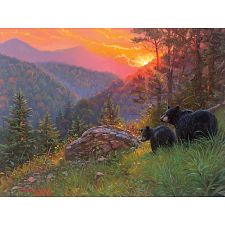 Bright Moment - Large Piece (Cobble Hill 625012480420) photo