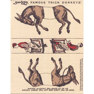 Famous Trick Donkeys - Small
