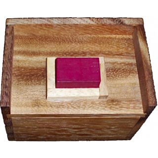 Melting Blocks Puzzle (Redstone Box)