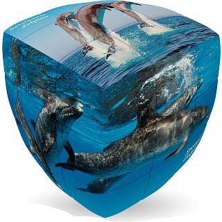 V-CUBE 2 Pillow (2x2x2): Dolphin Cube