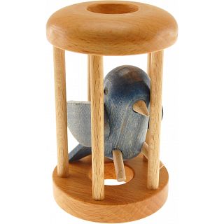 Bluebird in a Cage