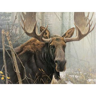 Bull Moose - Large Piece