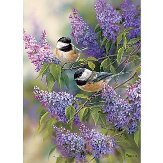 Chickadees and Lilacs