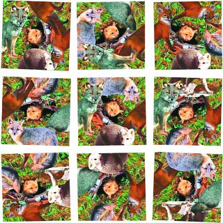 Scramble Squares - Foxes