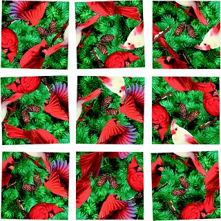 Scramble Squares - Cardinals