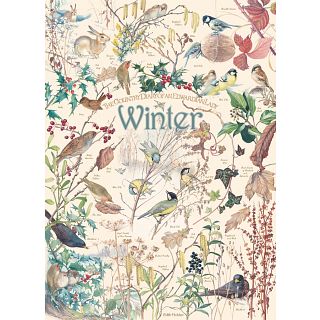 Country Diary: Winter